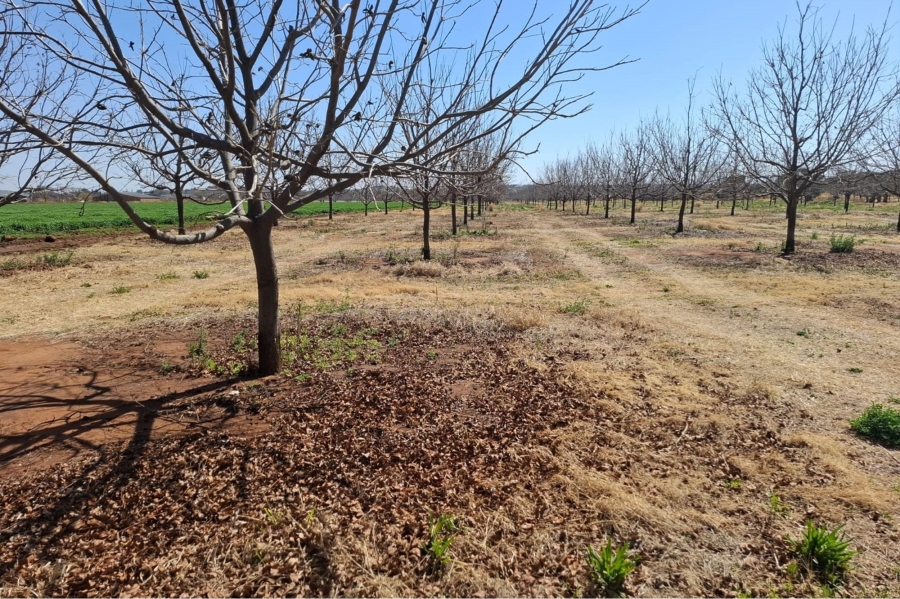 0 Bedroom Property for Sale in Hartswater Northern Cape